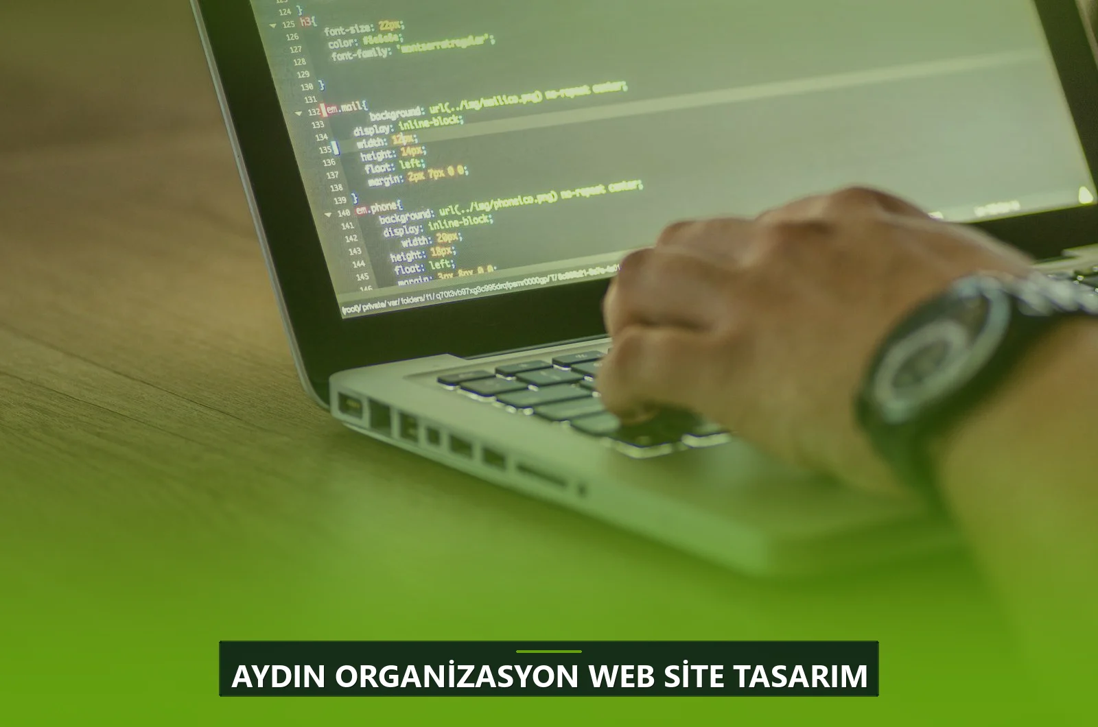 Aydın Organizasyon Web Site Tasarım