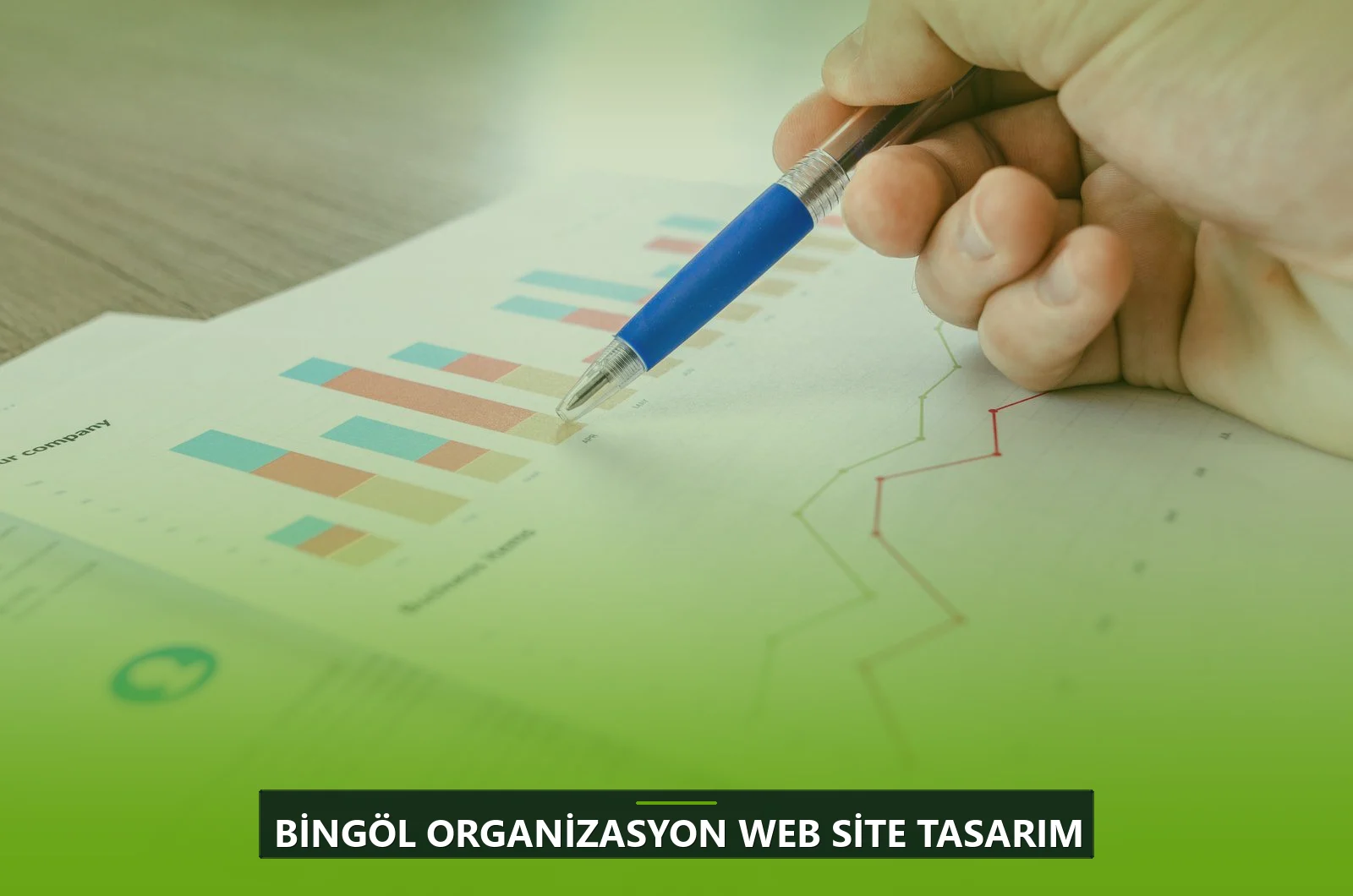Bingöl Organizasyon Web Site Tasarım