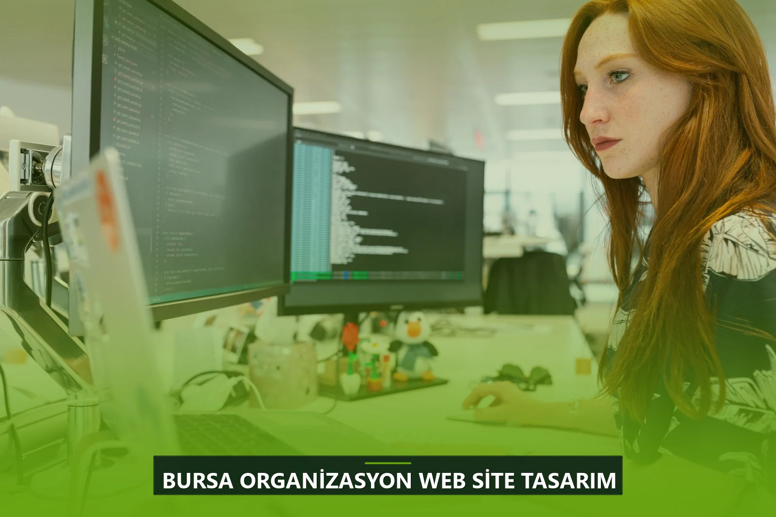 Bursa Organizasyon Web Site Tasarım