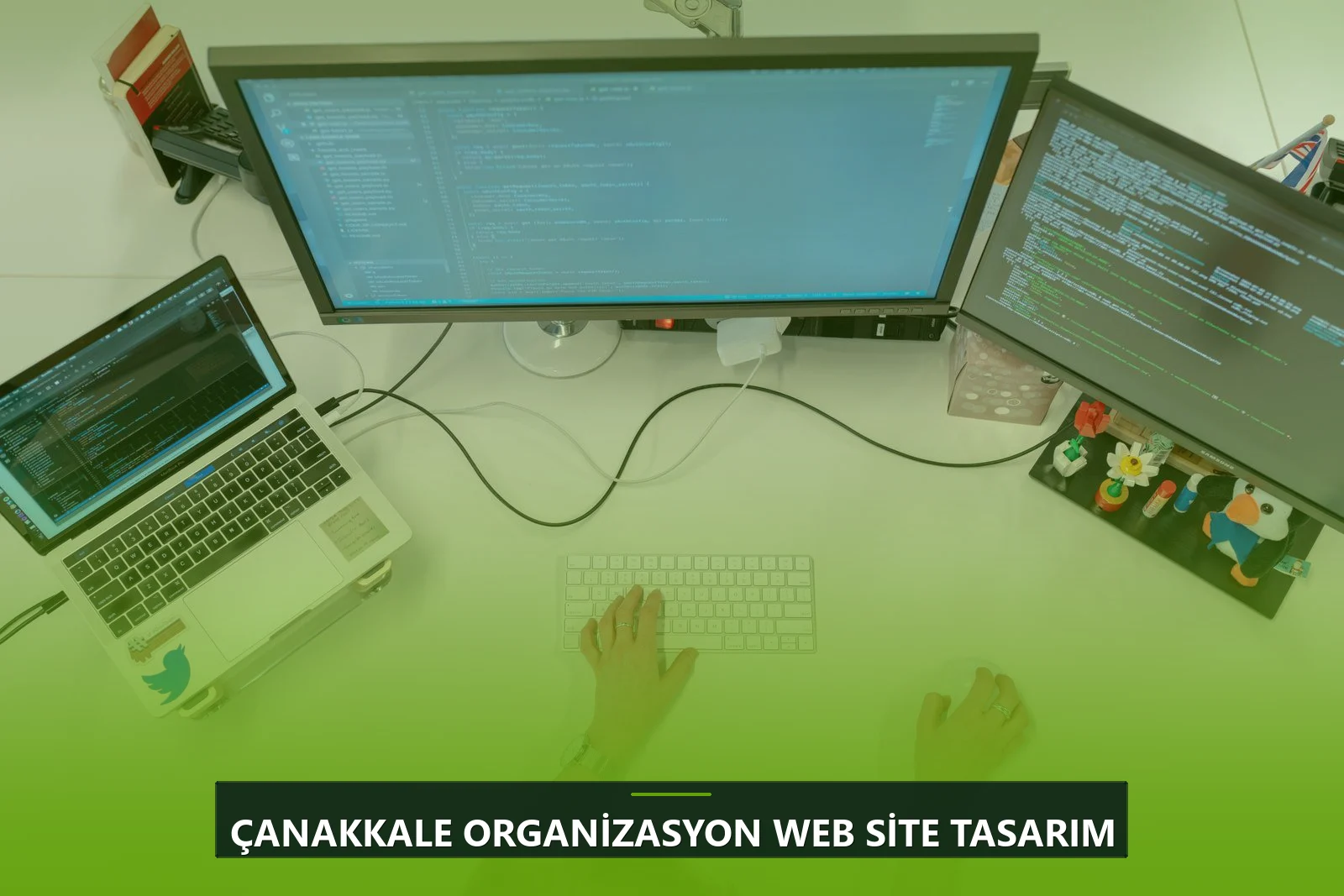 Çanakkale Organizasyon Web Site Tasarım