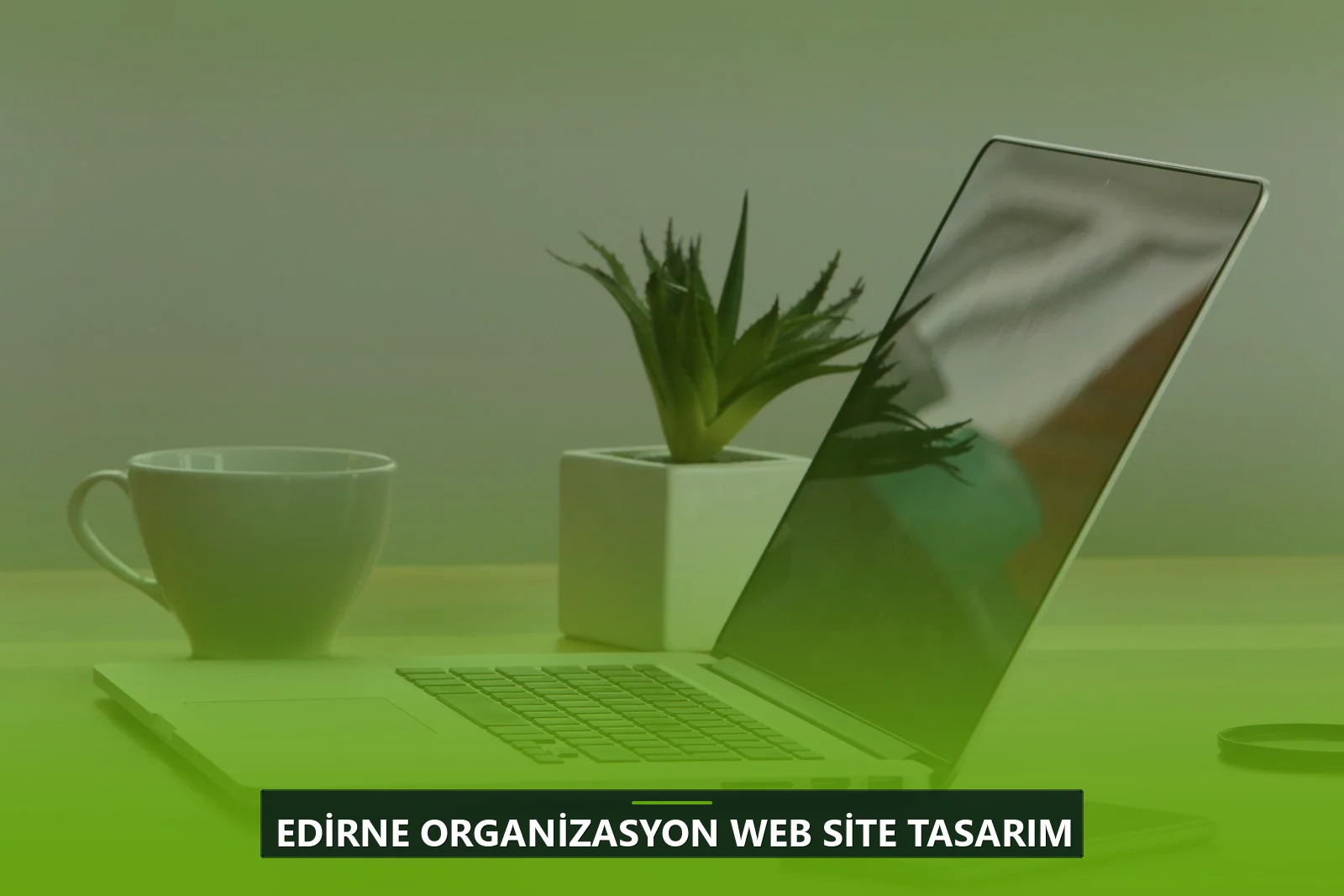 Edirne Organizasyon Web Site Tasarım