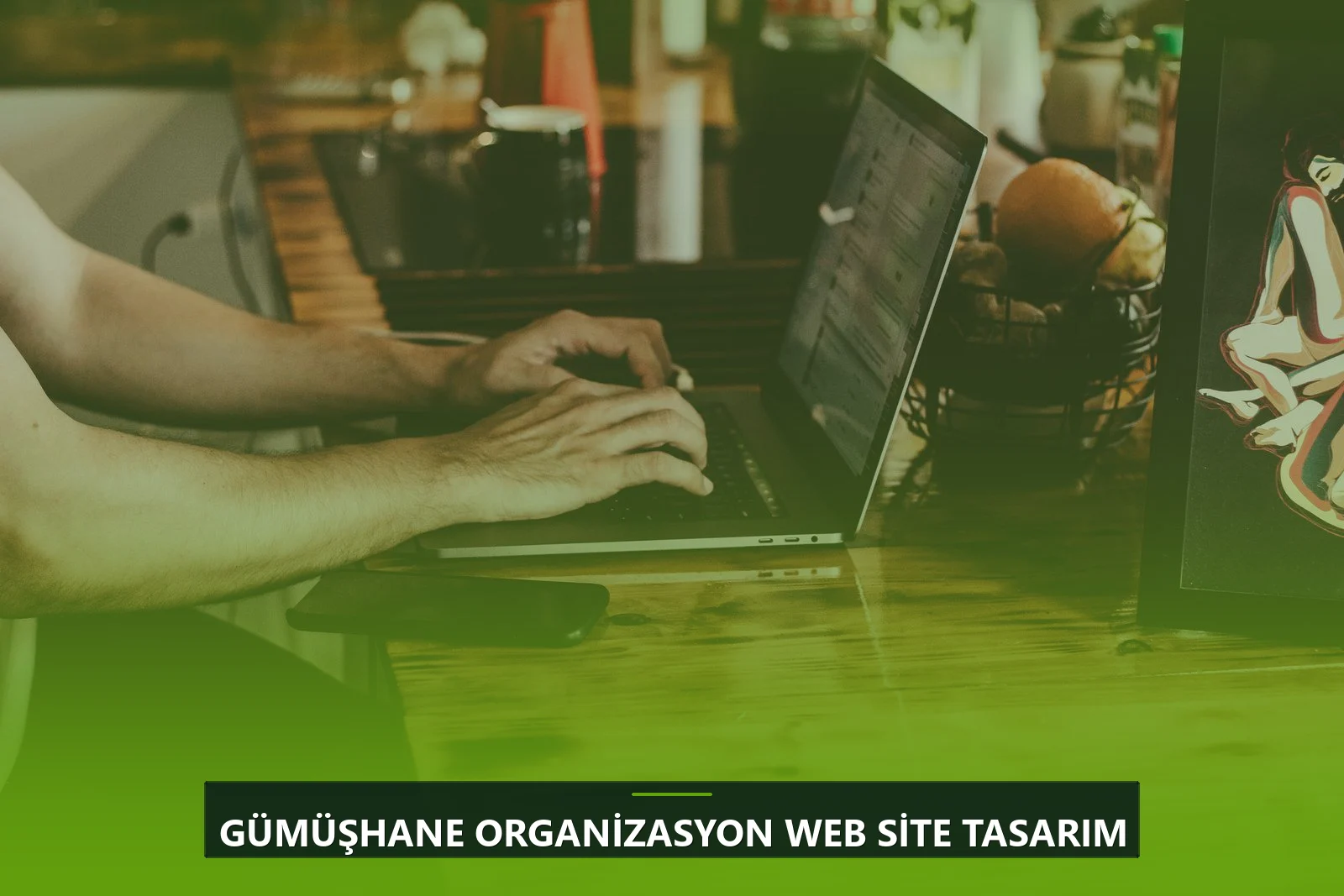 Gümüşhane Organizasyon Web Site Tasarım