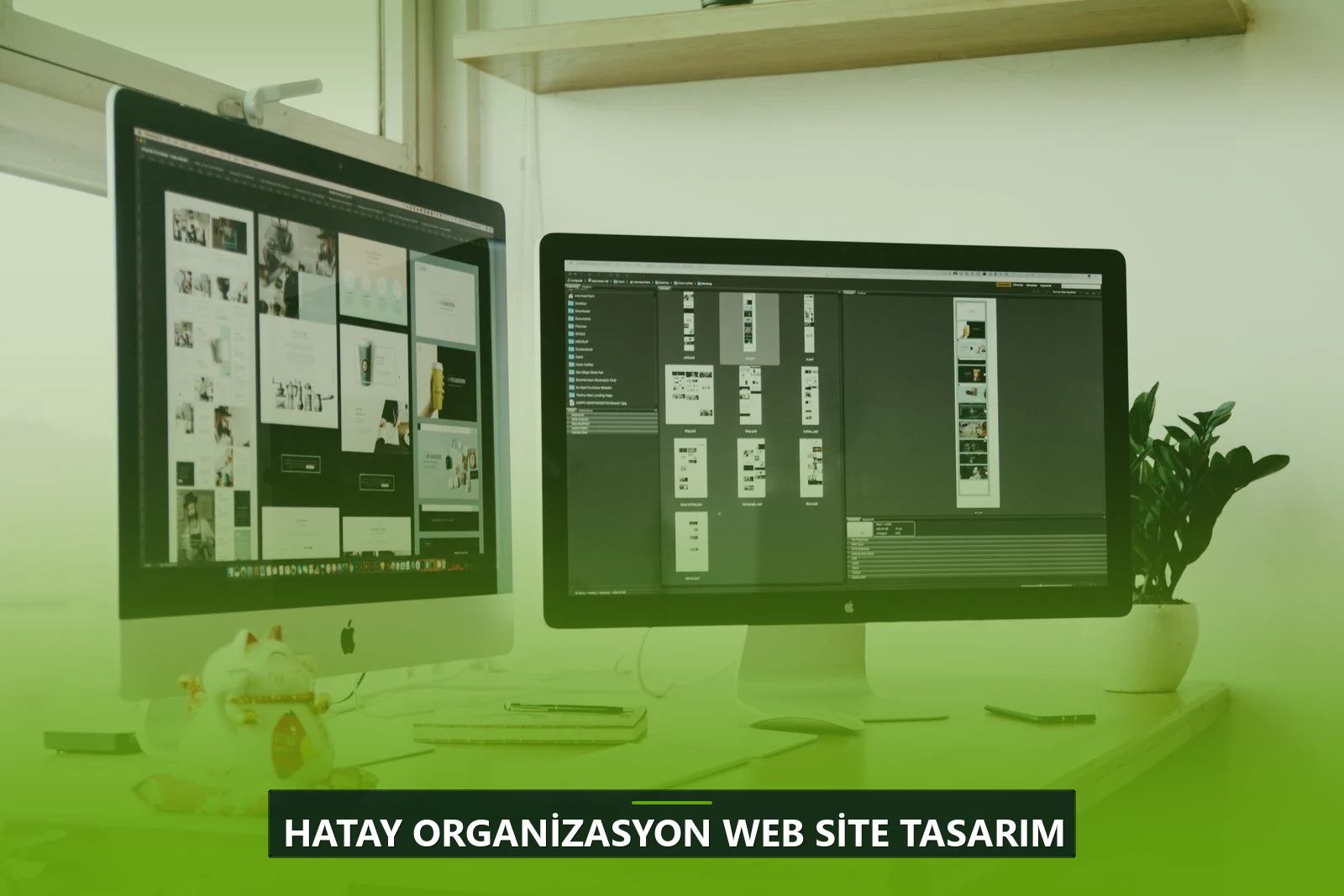 Hatay Organizasyon Web Site Tasarım