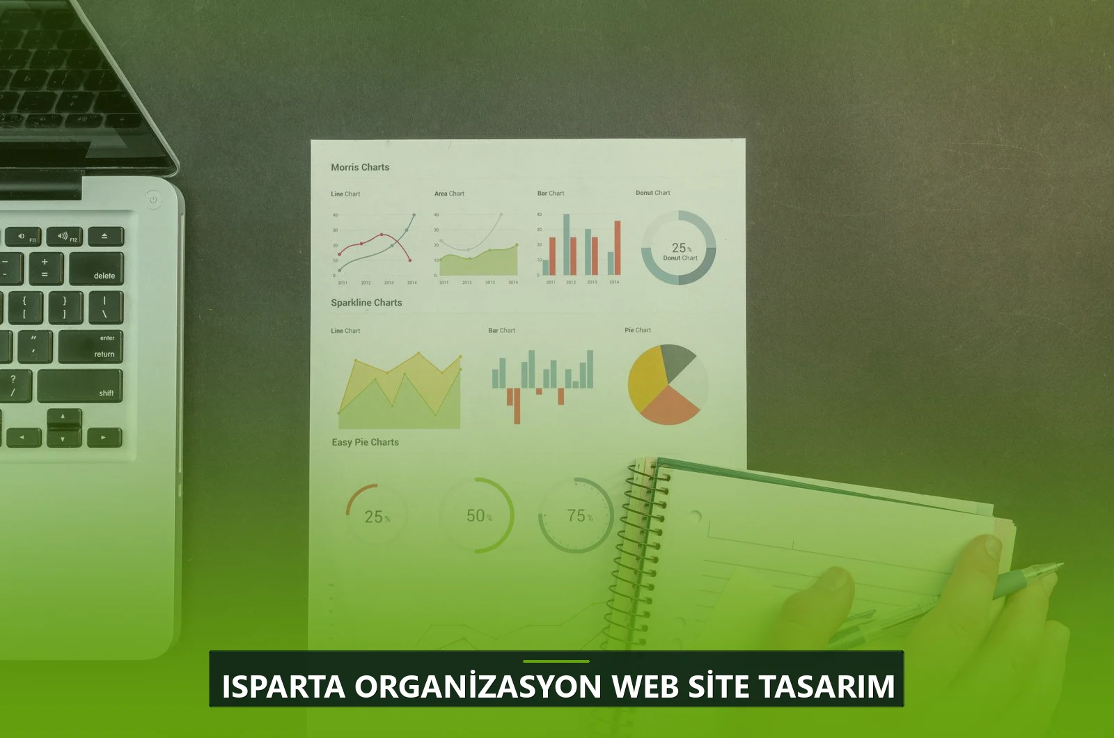Isparta Organizasyon Web Site Tasarım