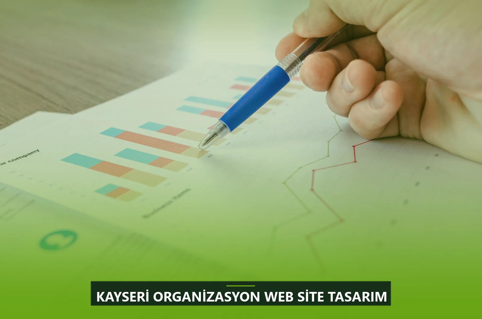Kayseri Organizasyon Web Site Tasarım