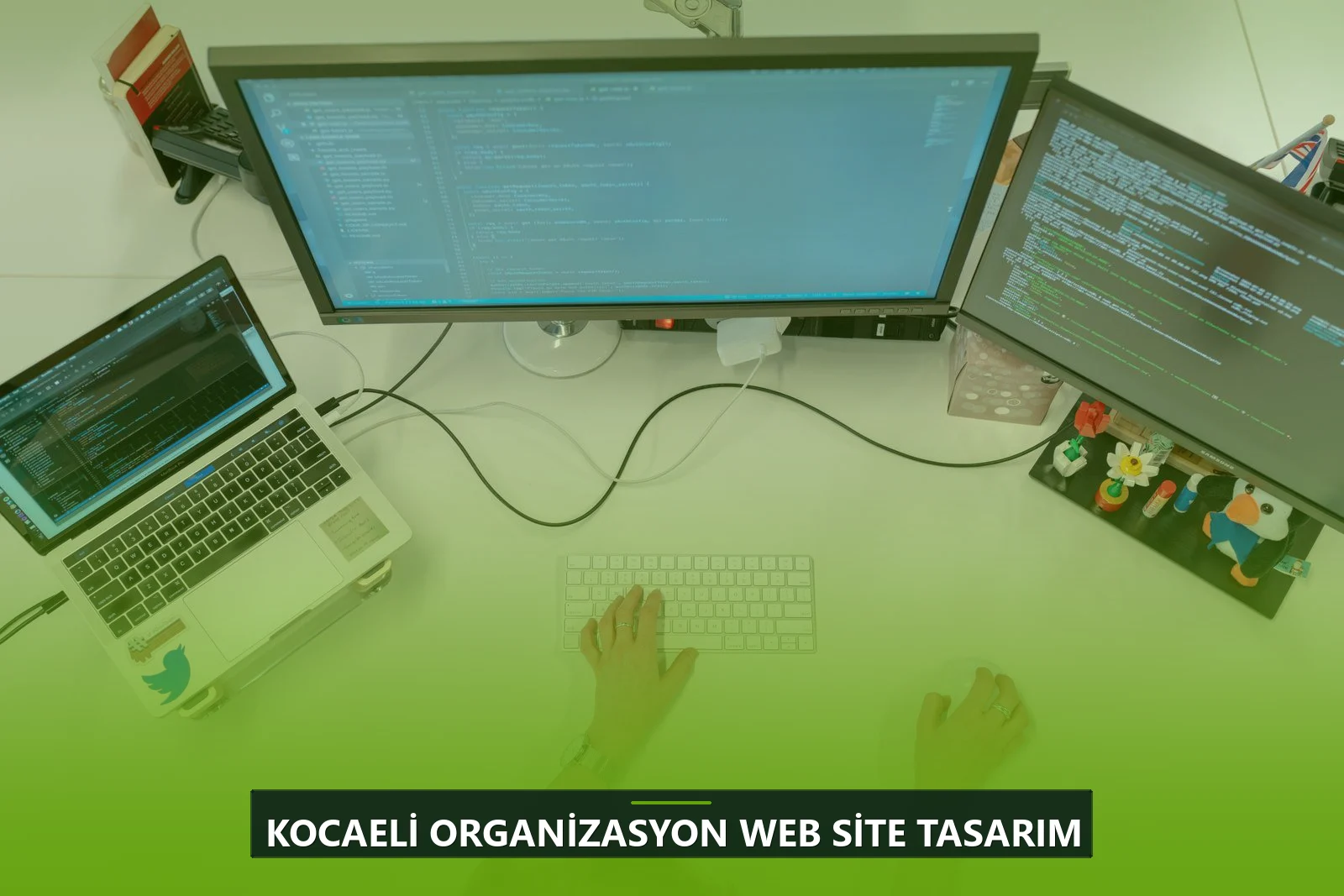 Kocaeli Organizasyon Web Site Tasarım