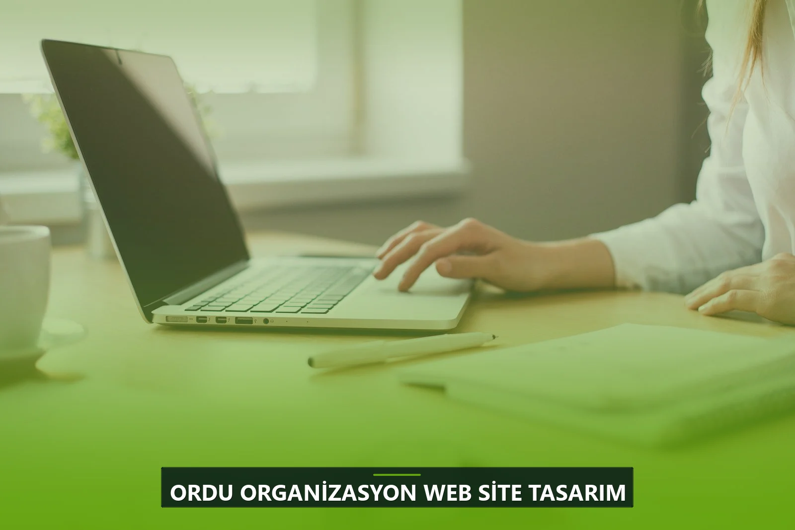 Ordu Organizasyon Web Site Tasarım