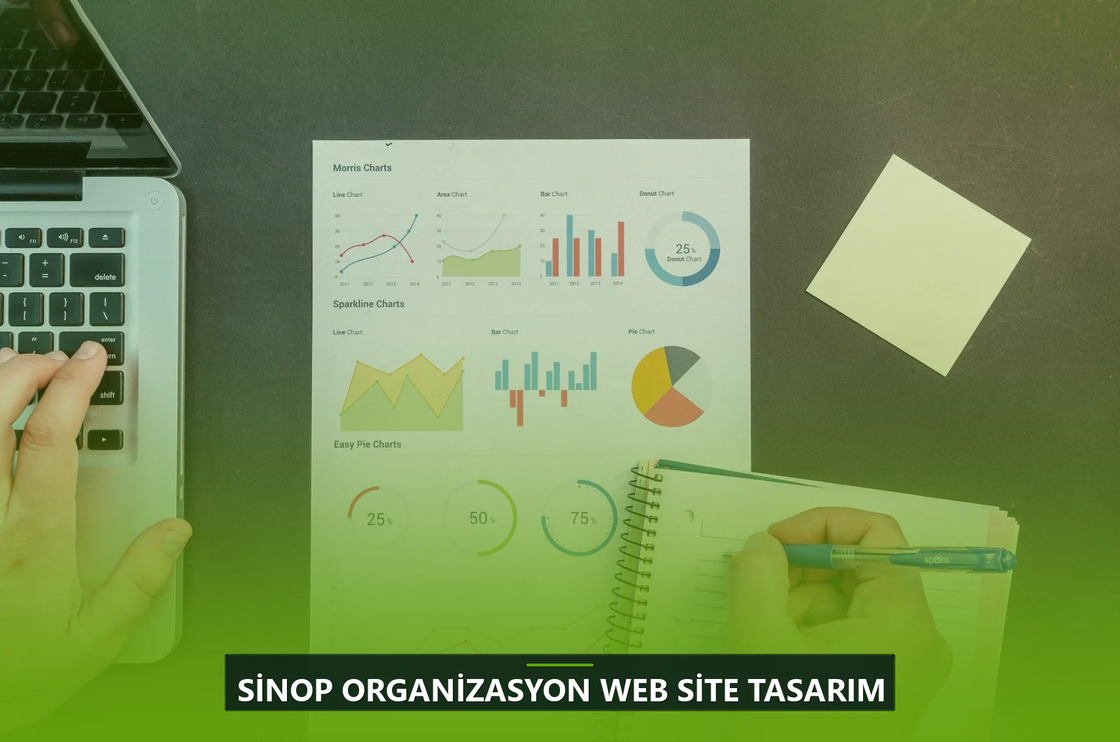 Sinop Organizasyon Web Site Tasarım