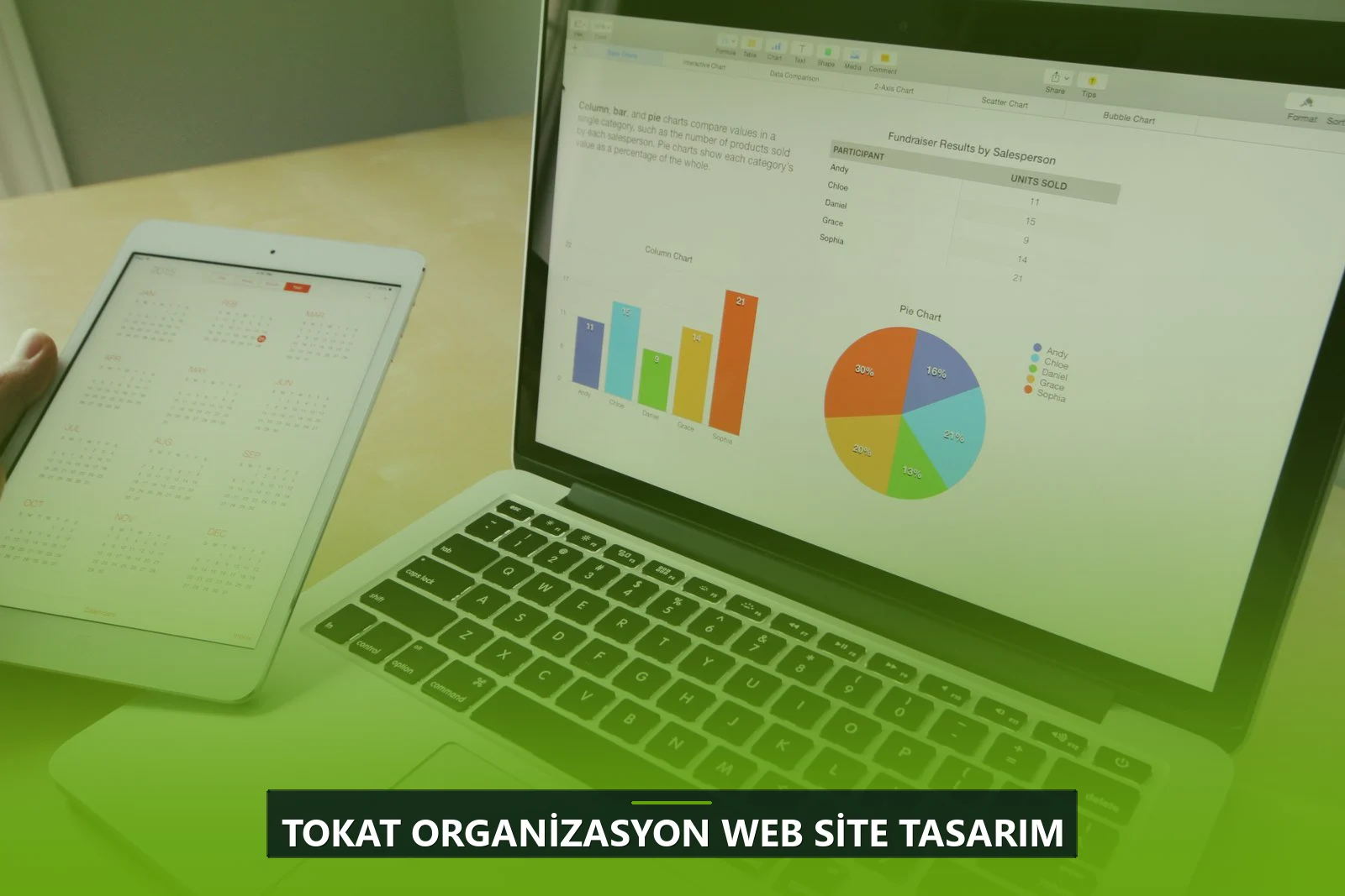 Tokat Organizasyon Web Site Tasarım
