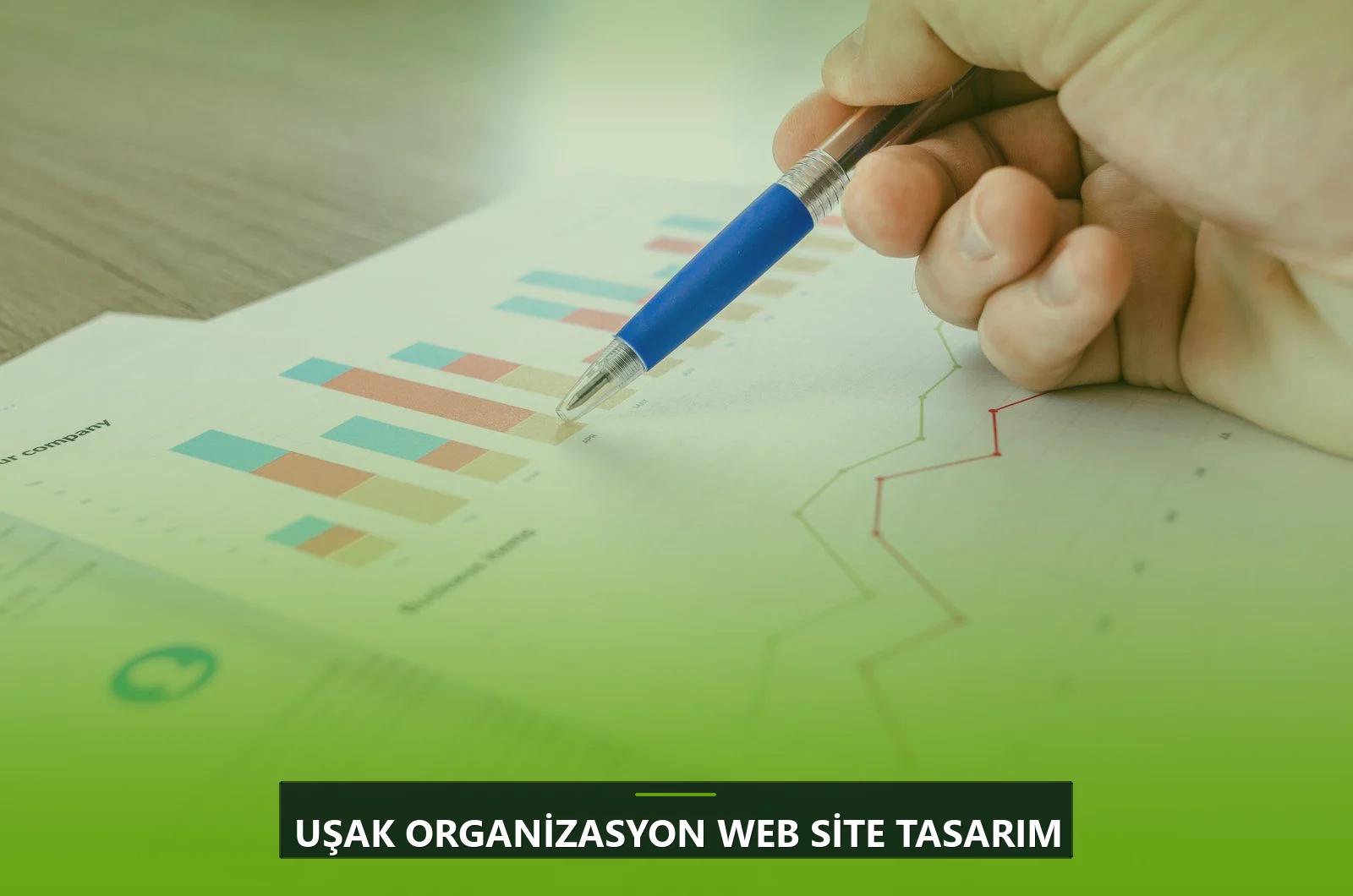 Uşak Organizasyon Web Site Tasarım