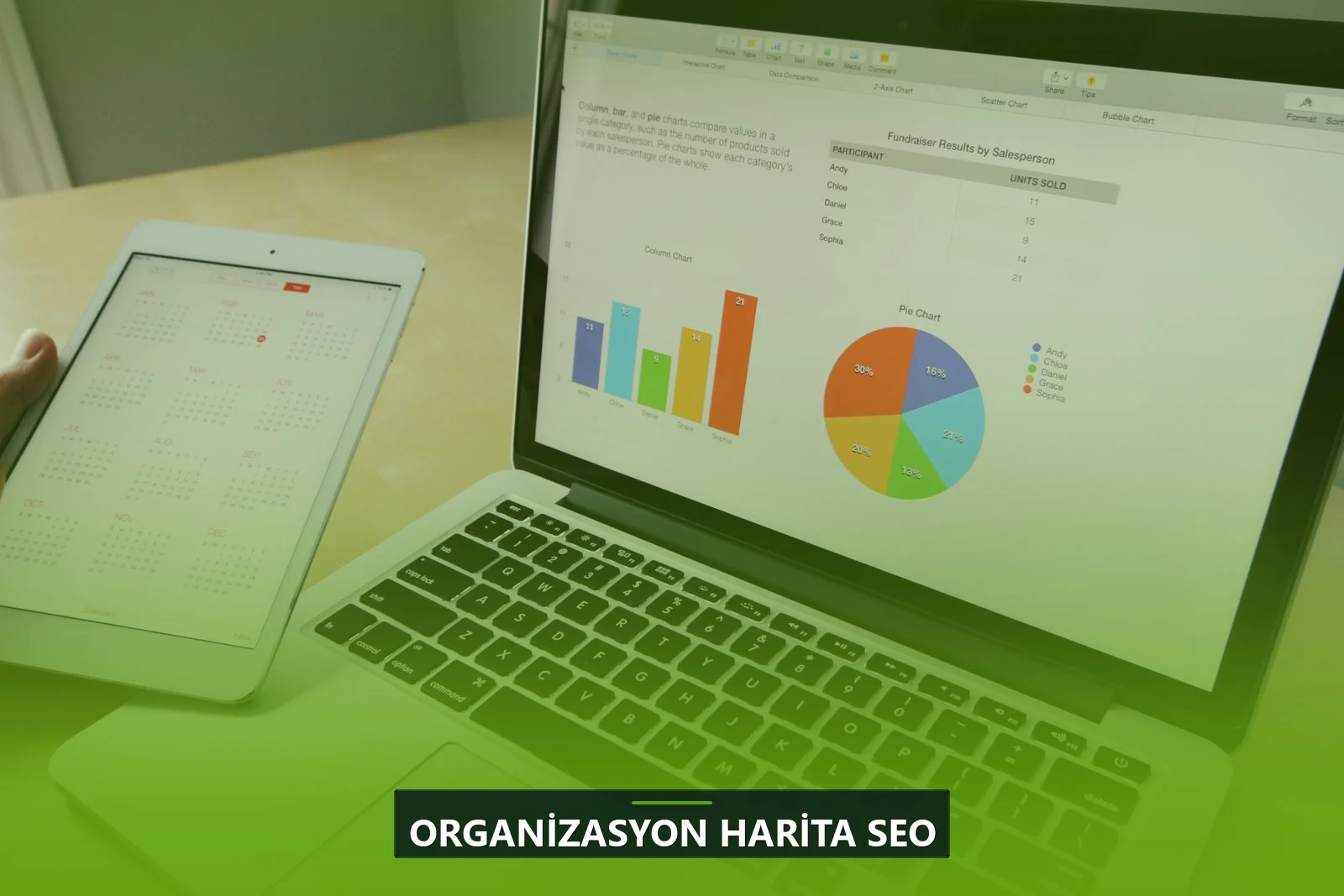 Organizasyon Harita SEO
